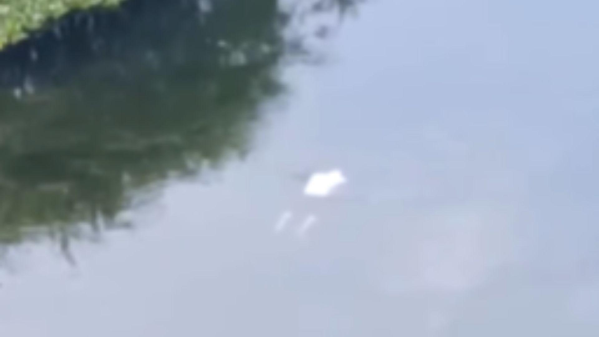 Imagem representando Homem comete suicídio ao se jogar de ponte em Jequié