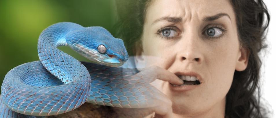 
N&atilde;o, e com um simples exerc&iacute;cio de racioc&ia...