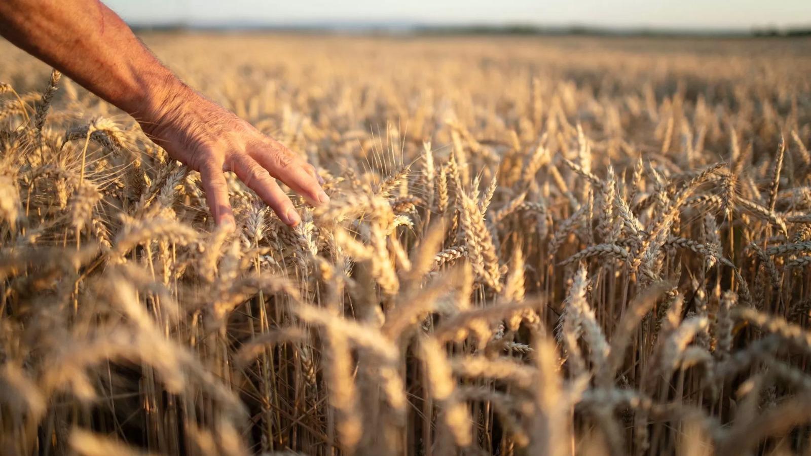 Os crist&atilde;os est&atilde;o debaixo da lei de Deus, mas...