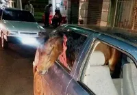 Um homem embriagado não achou o que fazer, tirou o banco tra...